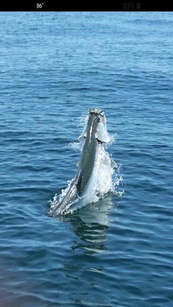 Tarpon Fishing Trips (June – July) with 30A Bay Guide Service
