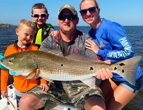 Redfish Season on 30A: A Local’s Guide to Choctawhatchee Bay Redfish